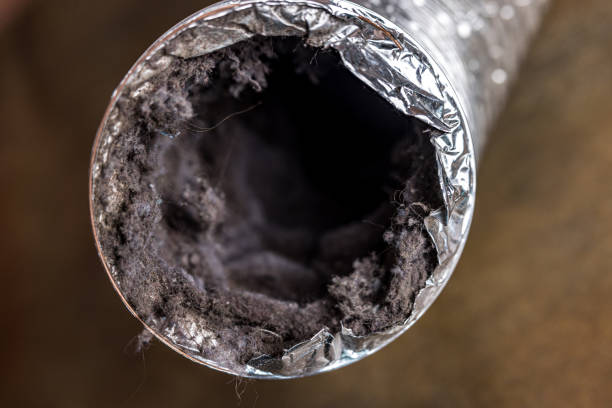 Best Dryer Vent Cleaning Services  in Bozeman, MT