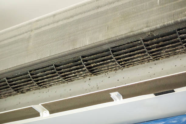 Best Best Air Duct Cleaning Company  in Bozeman, MT