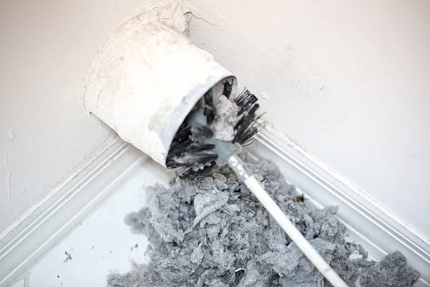 Best Air Duct Cleaning Company Near Me  in Bozeman, MT